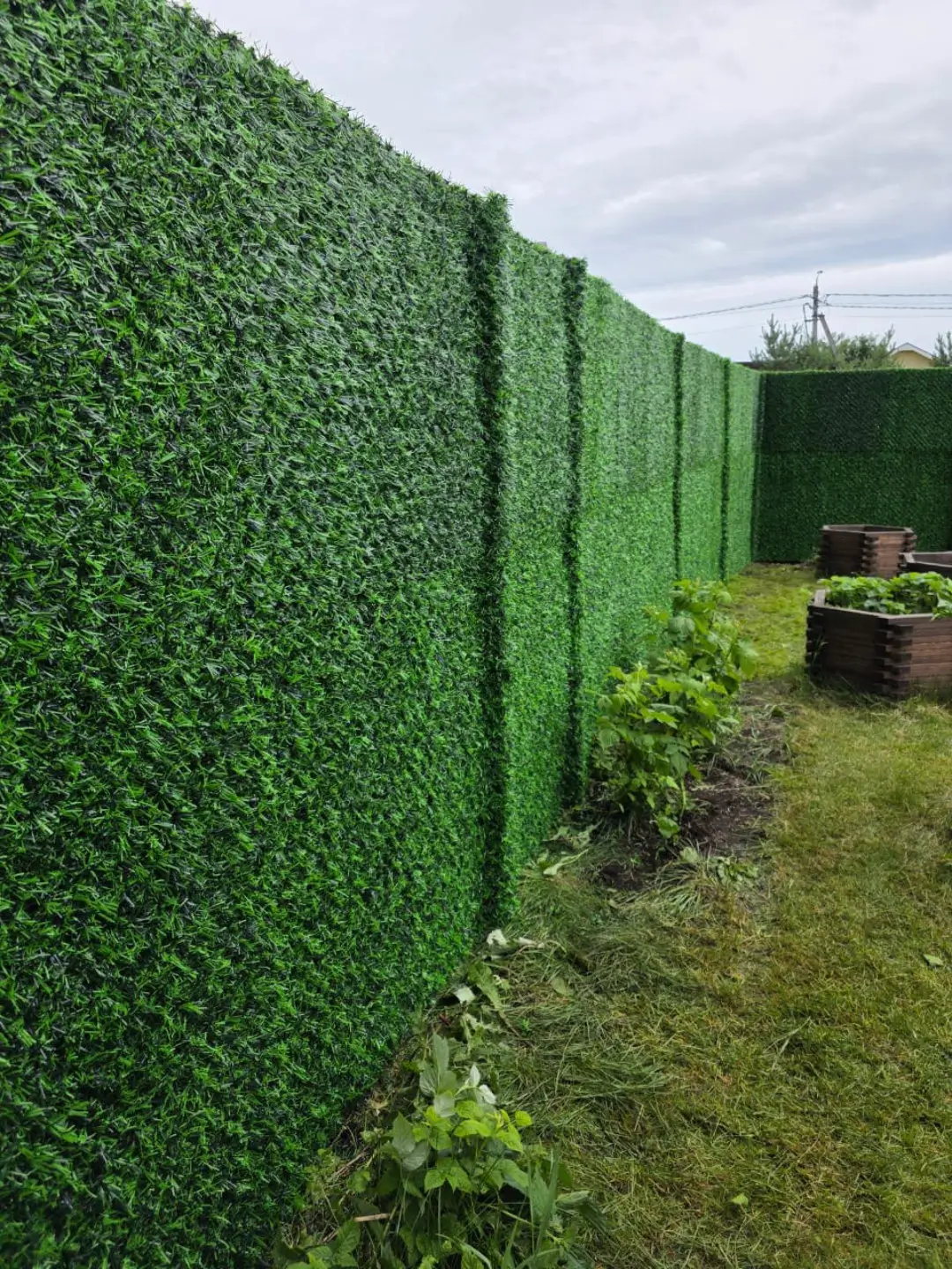 Вечнозеленый забор Grass Fence 37м фото 1 в Коломне